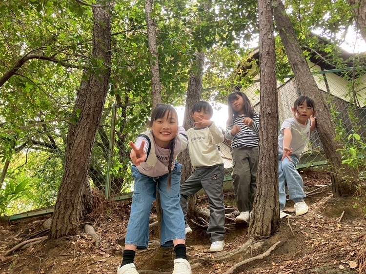 こどもたちが木の間の坂に立ち、ピースをしている様子